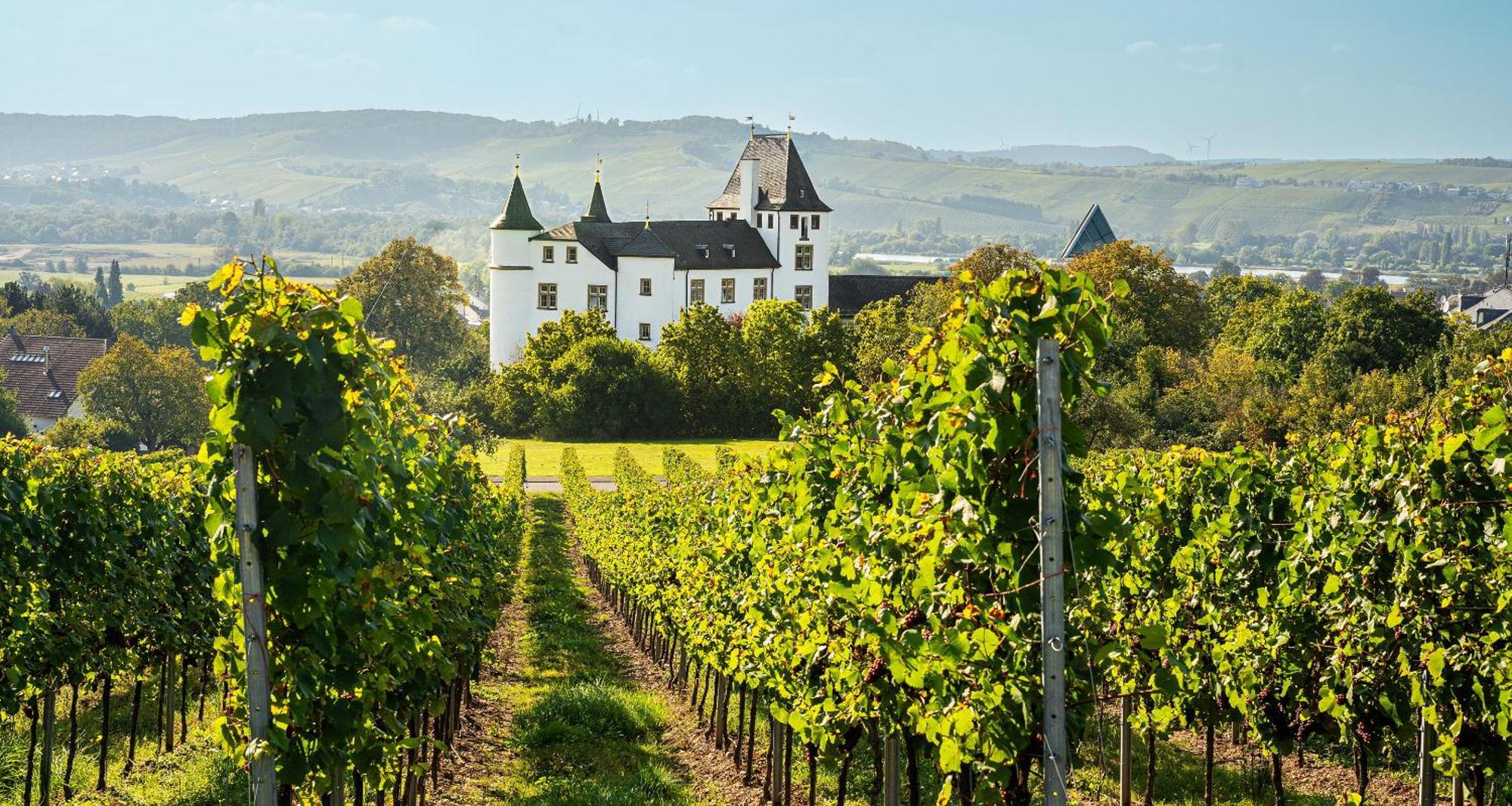 Victor'S Residenz-Hotel Schloss Berg Nenning Exterior foto Schloss Vollrads